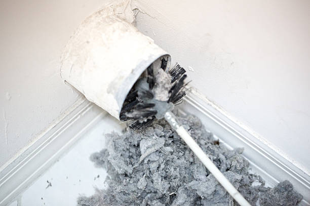 Best Mold and Mildew Removal from Ducts in Oroville, WA